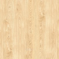 Керамогранит ProGRES Ceramica KeraForest pine коричневый светлый, глазурованный матовый 60x60 NR0395-M