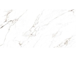 Ocean Ceramic 120х278