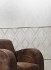 Shagreen (Aparici)