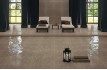 Shagreen (Aparici)