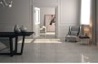 Shagreen (Aparici)