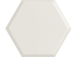Woodskin (Paradyz)