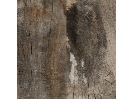 Fs Seattle (Peronda)