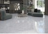 Керамогранит Primavera Abside Ice Polished 60x60 PR147