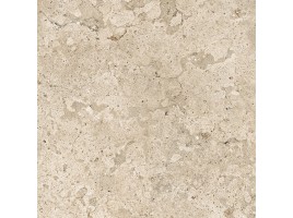 5053 (Porcelanite Dos)