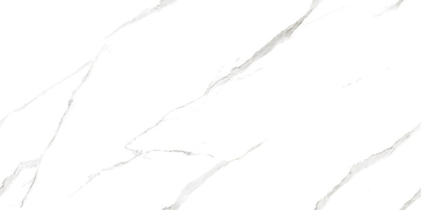 Керамогранит Ceradim Calacatta Pleasant белый полированный 60x120