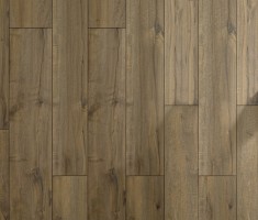Strong Colorado Oak