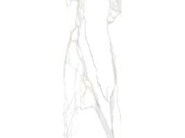 NT Ceramic Atlas Home