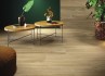 Керамогранит Global Tile Klaipeda Светло-Бежевый 19.8x80 GT208021407MCR