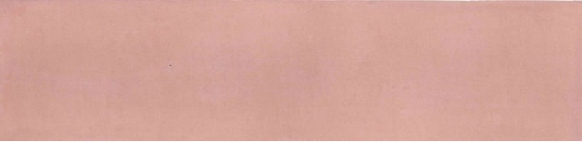 Плитка Revoir Paris Atelier Vieux Rose Mat 6.2x25 WW_022