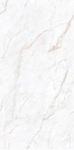 Керамогранит Leopard Velvet Arden White 60x120 N179655