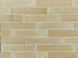 Lifebrick 