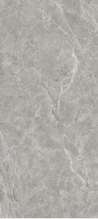  Matt Ascolano Grey Matt