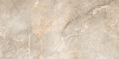 Керамогранит Leopard Marble Silver Polished 60x120 6502