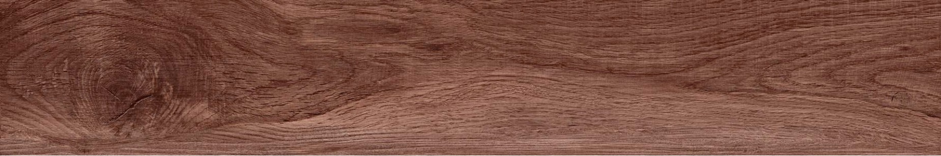 Taiga Cedar