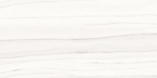 Керамогранит Ariostea Marmi Classici Zebrino Bianco Soft 60x120 P612517