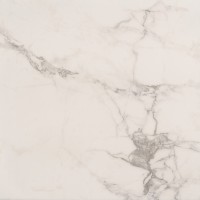 Керамогранит Absolut Gres Carrara Classic gloss 60x60 AB 1095G