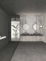 Concept (Mico)