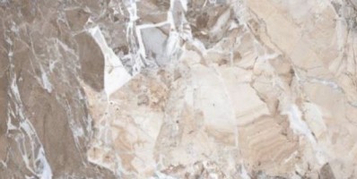 Sairam Glossy Mg Breccia Bruno Beige