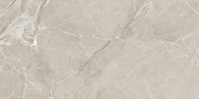 Керамогранит Colemanite Stone Grey Rect