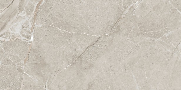 Colemanite Stone Grey Rect