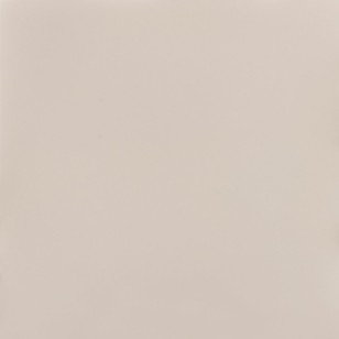 Minimal Ivory Polish 