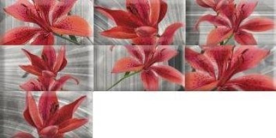 Декор Absolut Keramika Monocolor Biselado Mix Flowers RBW 7.5x15