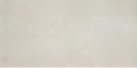 Керамогранит Casalgrande Padana R-Evolution Total White 9mm 60x120 11720026