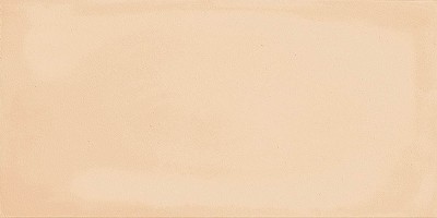 Плитка Imola Ceramica Gesso Терракотовый 10x20 настенная GESSO 1020TC