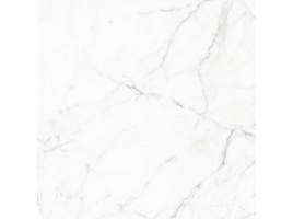Elegant Statuario (Global Tile)