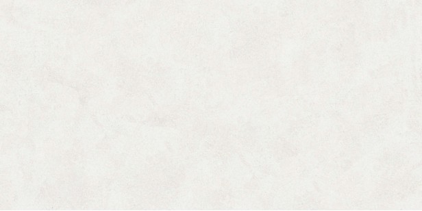 Керамогранит Buono Ceramica Emma Fiore Base 60x120 EVL4802M