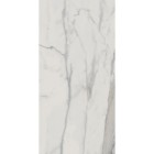 Керамогранит Edilcuoghi Edilgres Italian Marble Statuario Matte 60х120