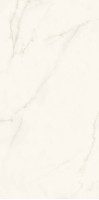 Керамогранит Atlas Concorde Italy Plan Calacatta Apuano Polished 162x324 AGRP