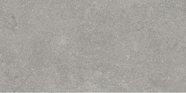Керамогранит Vitra Newcon Серебристо-Серый Матовый R10A 60x120 K945778R0001VTEP