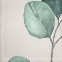 Декор Eletto Ceramica Mate Decor Greens 15x15 00-00108861 Декор Eletto Ceramica Mate Decor Greens 15x15 00-00108861