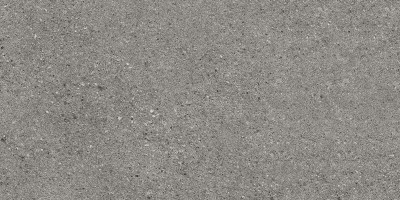 Керамогранит Iris Ceramica Victorian Stone Silver Grey Natural Plus 60x120 8929991