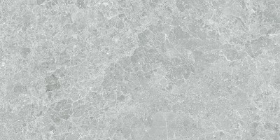 Керамогранит STN Ceramica Charisma P.E. Grey Mt Rect 100x100