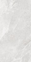 Керамогранит Global Tile Destiny Светло-серый 60x120 GT1206022706MSR11