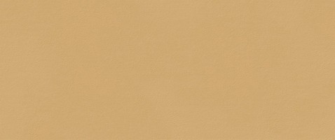 Плитка Fap Ceramiche True Color Caramel 50x120 fTDS Плитка Fap Ceramiche True Color Caramel 50x120 fTDS
