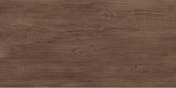Taiga Cedar