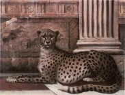 Декор Petracers Grand Elegance Noblesse A Ghepardo 15x20