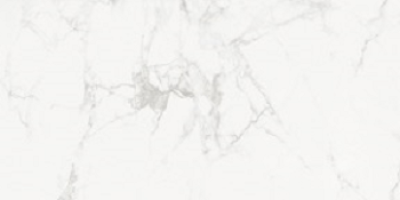 Керамогранит Absolut Gres Phantom Bianco полированный 60x120 AB 1118G