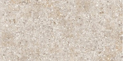 Treviso Серый 60x120 TR01