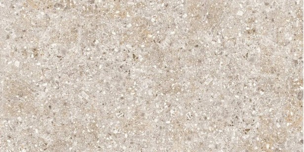 Treviso Серый 60x120 TR01