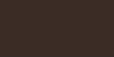 Плитка Rako Color One темно-коричневая глянцевая 20x40 настенная WAAMB671