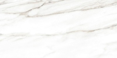 Плитка Alma Ceramica Euphoria 24.9x50 настенная TWU2550EPH04 Плитка Alma Ceramica Euphoria 24.9x50 настенная TWU2550EPH04