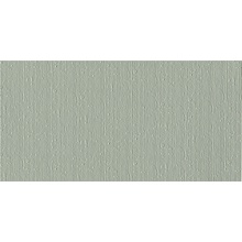 Urban Silver Inserto Scratch