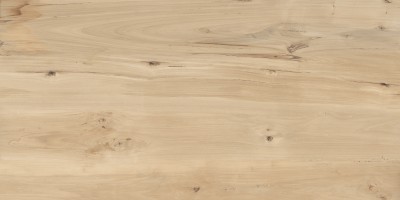 Керамогранит Buono Ceramica Forest Sweet Home 60x120 FVL4511M