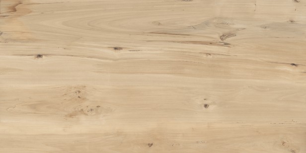 Керамогранит Buono Ceramica Forest Sweet Home 60x120 FVL4511M
