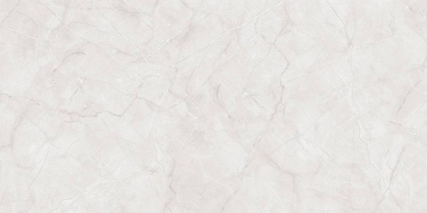 Керамогранит Primavera Vanity Bianco Matt Granula 60x120 MG211